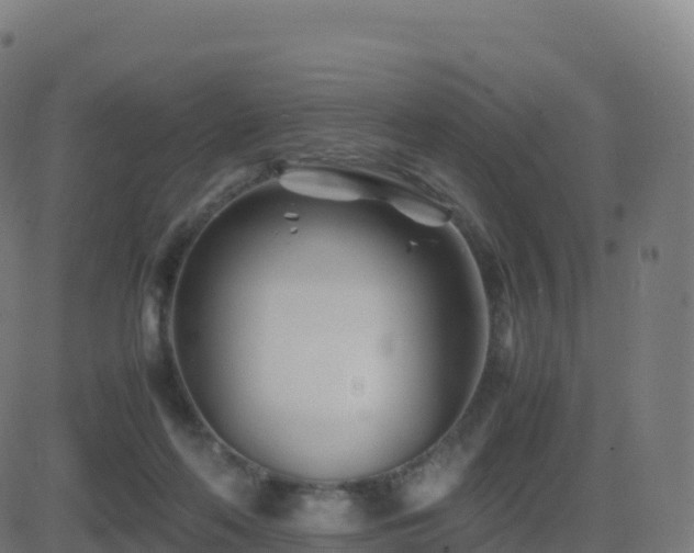 X0000081490214200701121518