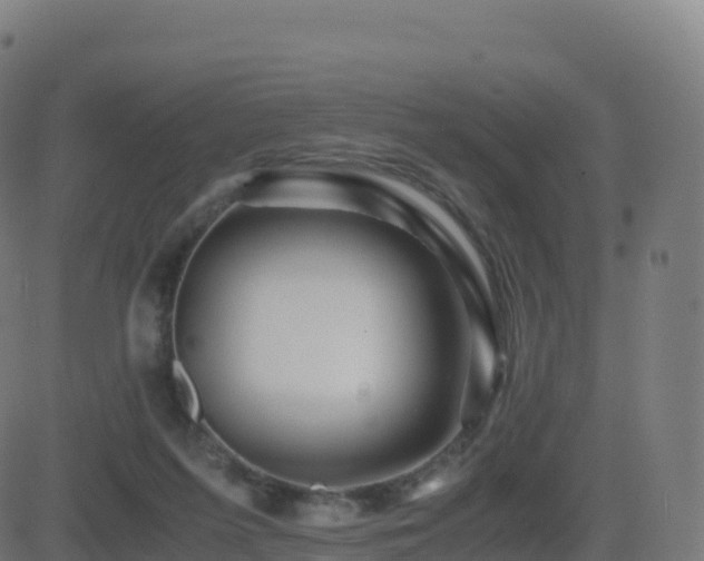 X0000081490215200701121518