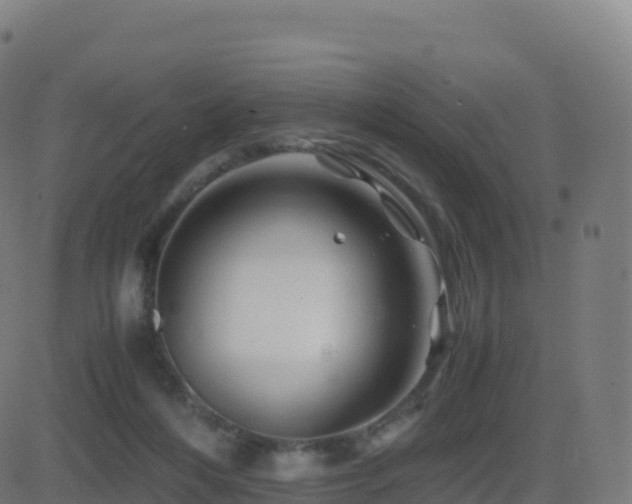 X0000081490216200701121518