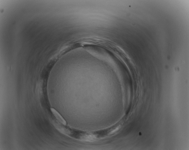 X0000081490217200701121518