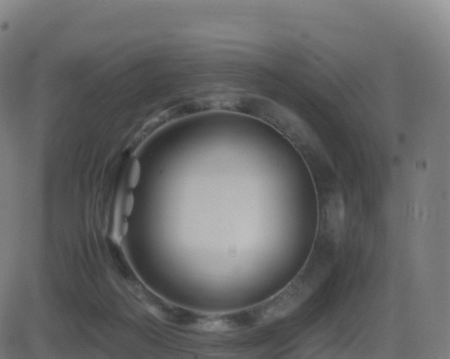 X0000081490218200701121518