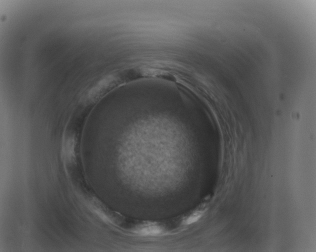 X0000081490219200701121518