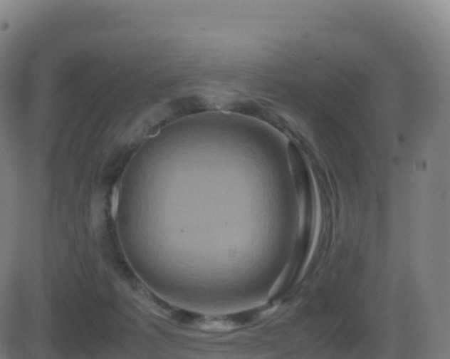 X0000081490221200701121518