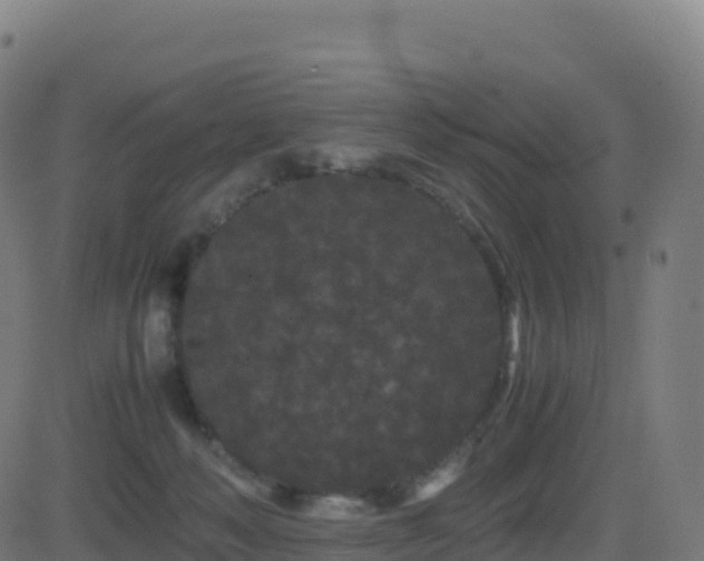 X0000081490222200701121518