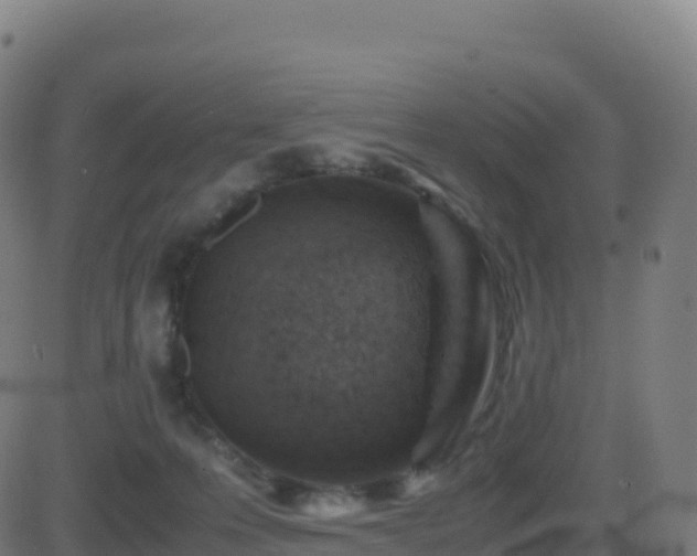 X0000081490223200701121518