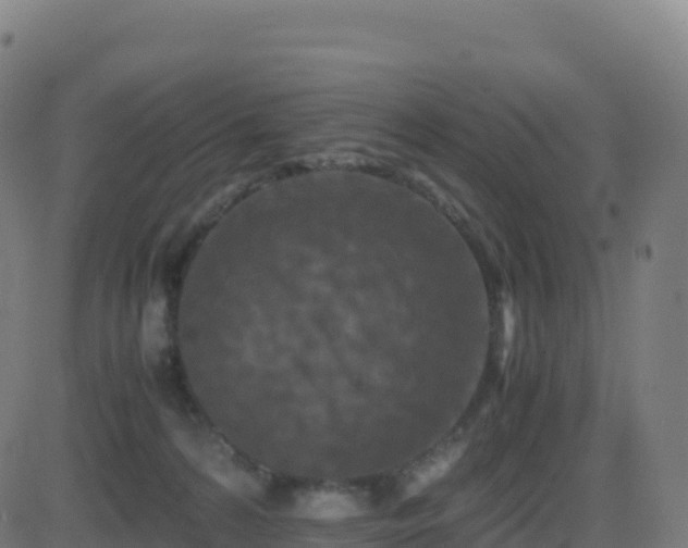 X0000081490224200701121518