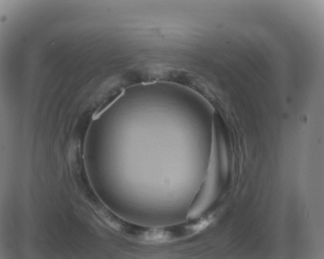 X0000081490225200701121518