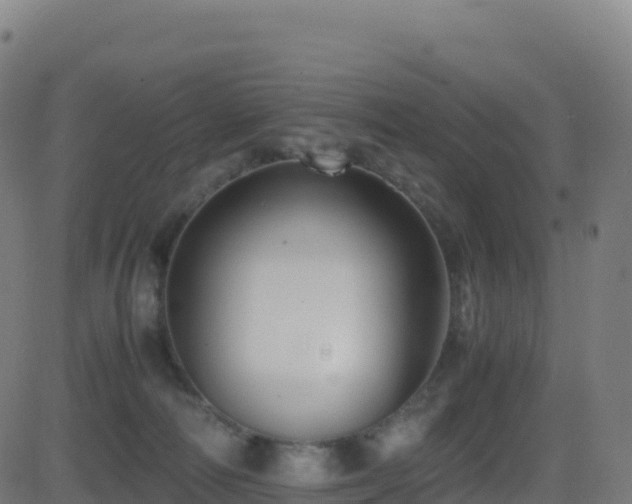 X0000081490226200701121518