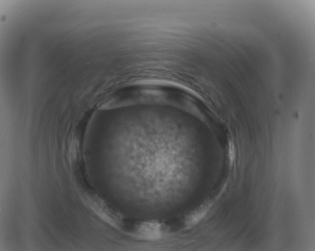 X0000081490227200701121518