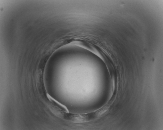 X0000081490229200701121518