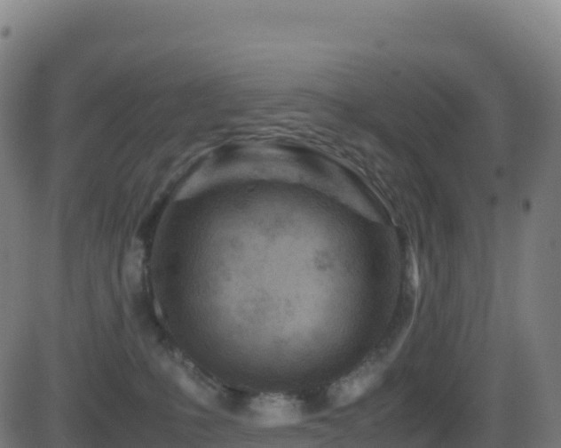 X0000081490231200701121518