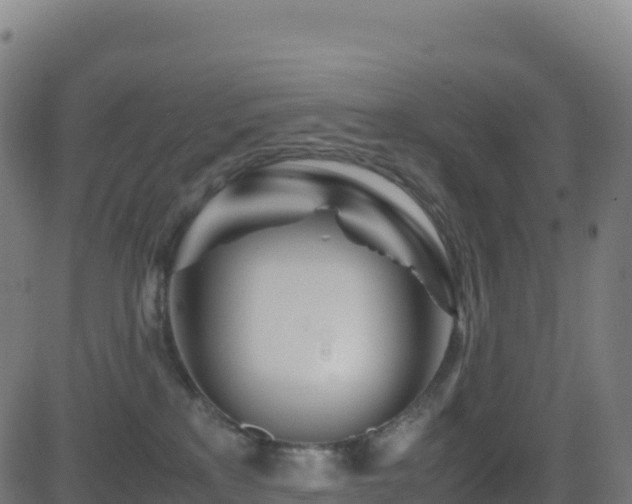 X0000081490233200701121518