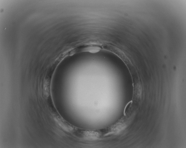 X0000081490234200701121518