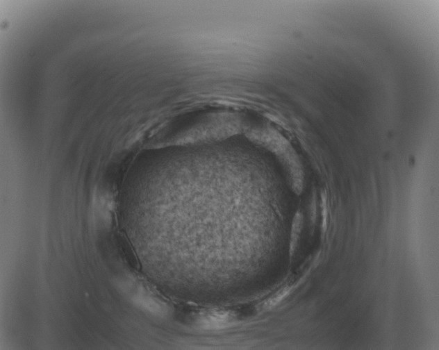 X0000081490235200701121518