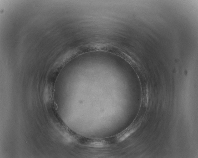 X0000081490236200701121518