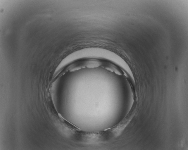 X0000081490237200701121518