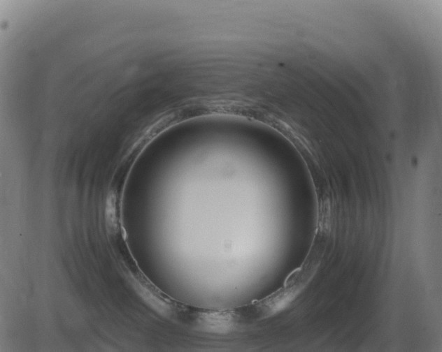 X0000081490238200701121518