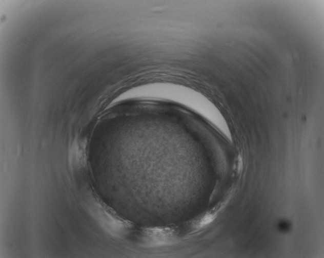 X0000081490239200701121518