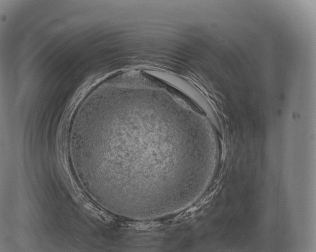 X0000081490241200701121517