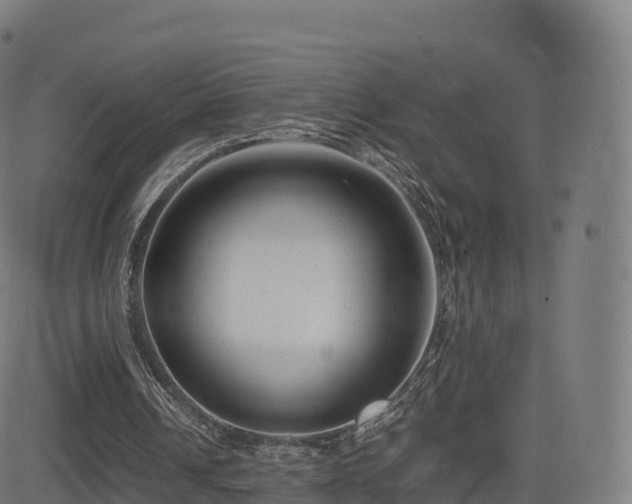 X0000081490242200701121517