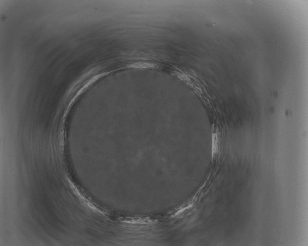 X0000081490243200701121517