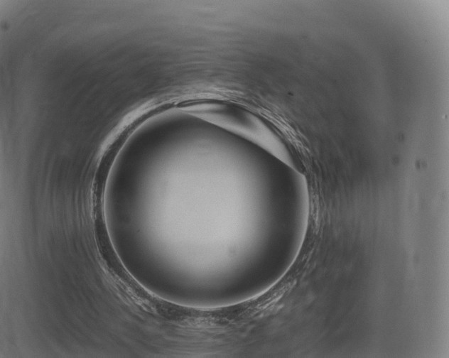 X0000081490244200701121517