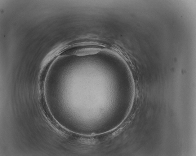 X0000081490245200701121517