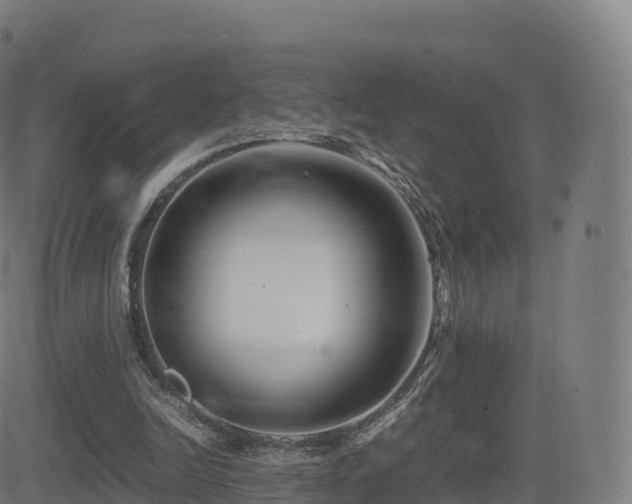 X0000081490246200701121517