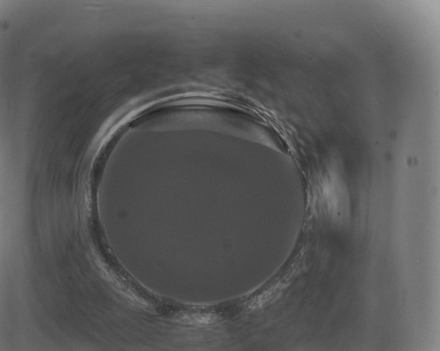 X0000081490247200701121517