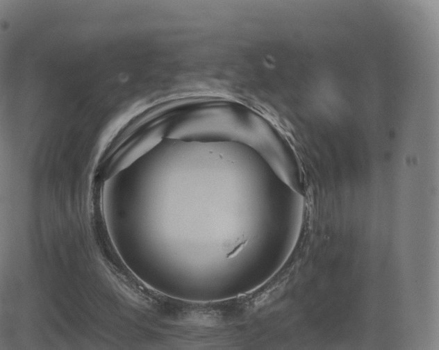 X0000081490248200701121517