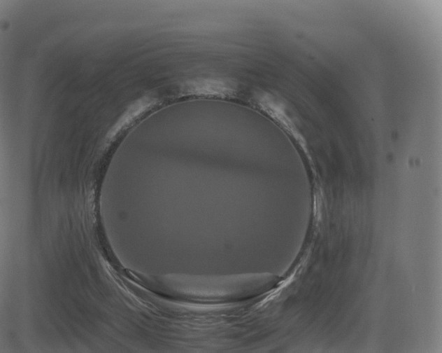 X0000081490249200701121517