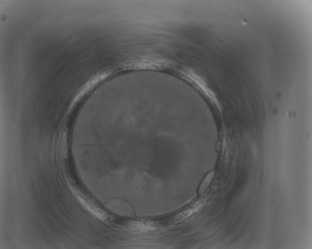 X0000081490250200701121517