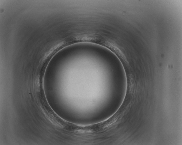 X0000081490251200701121517