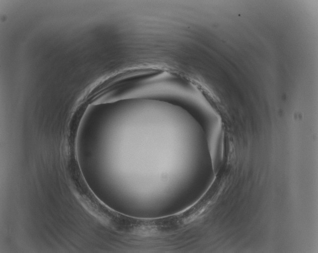 X0000081490252200701121517