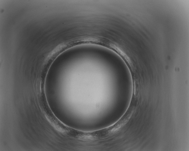 X0000081490253200701121517