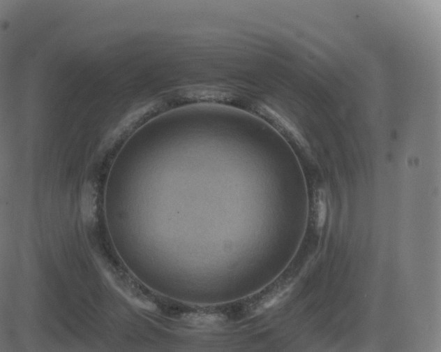 X0000081490255200701121517