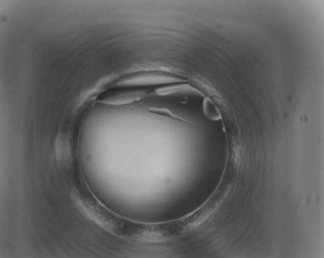 X0000081490256200701121517