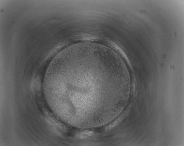 X0000081490257200701121517