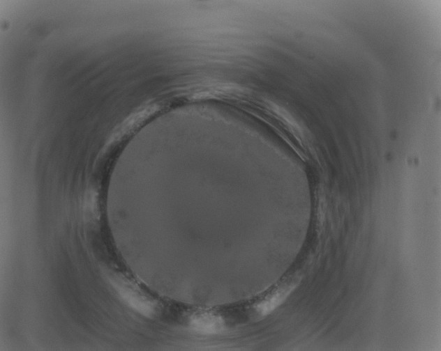 X0000081490258200701121517