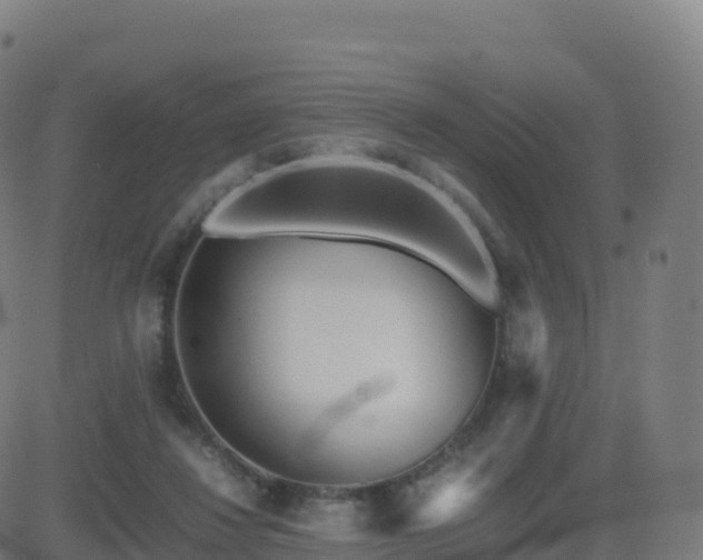 X0000081490260200701121517