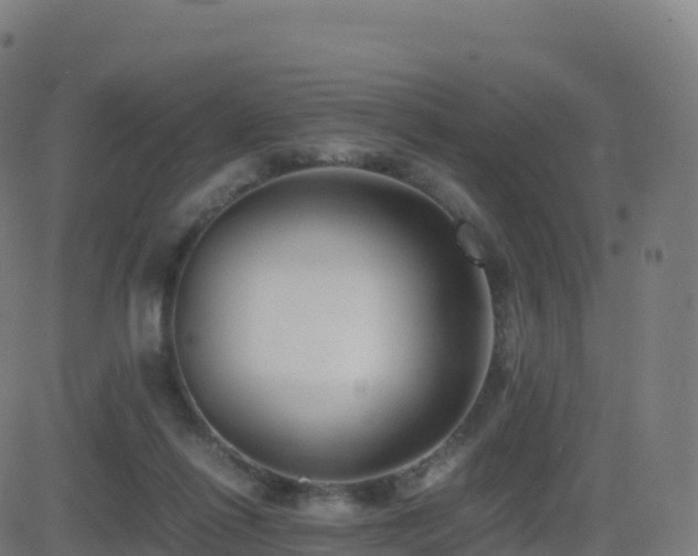 X0000081490262200701121517