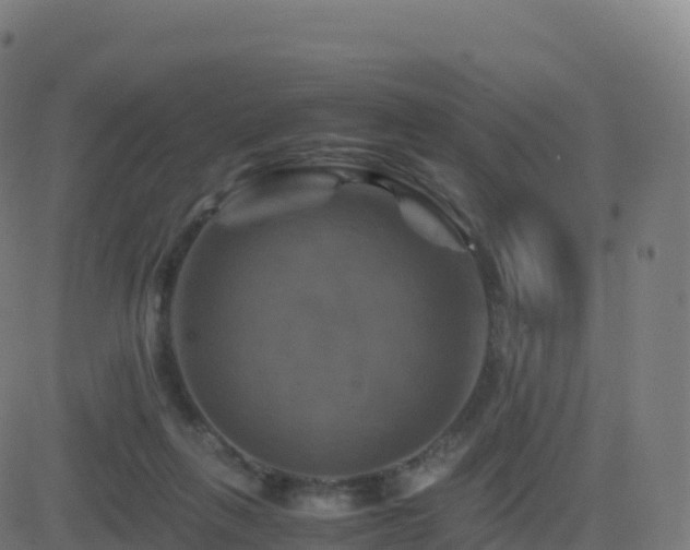 X0000081490263200701121517