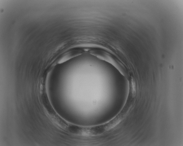 X0000081490264200701121517