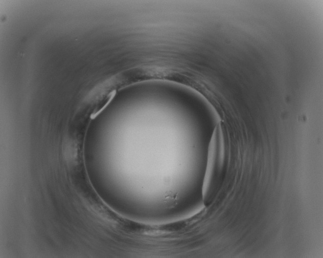 X0000081490268200701121517