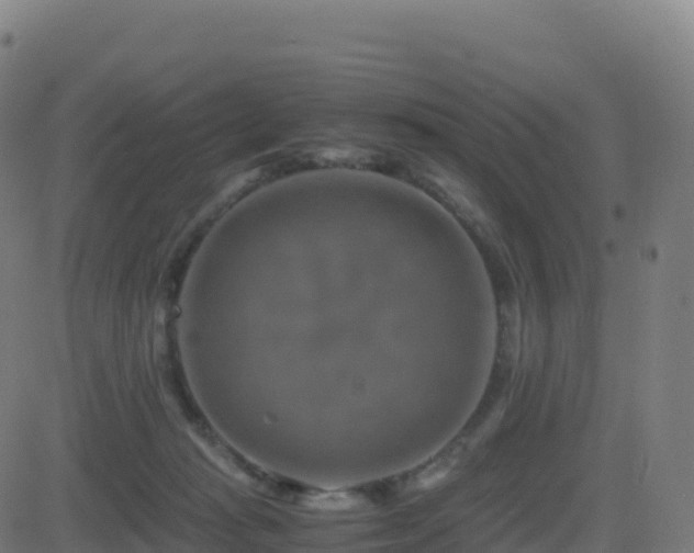 X0000081490269200701121517