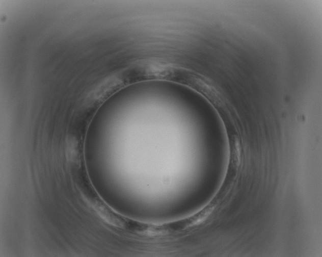 X0000081490270200701121517