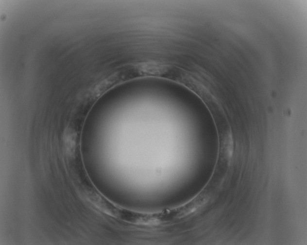 X0000081490271200701121517