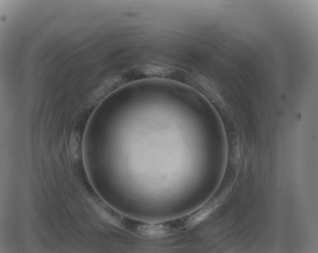 X0000081490273200701121517