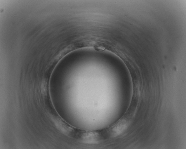 X0000081490274200701121518