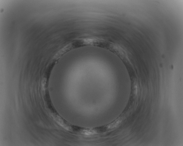 X0000081490275200701121518